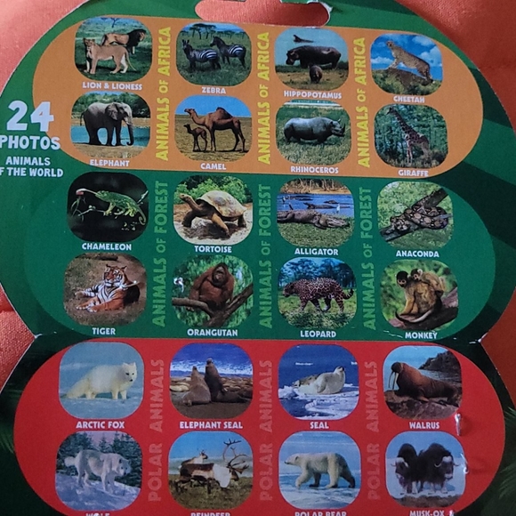 Torch Projector of the animal world 🌎  Zoo - Picture 7 of 7